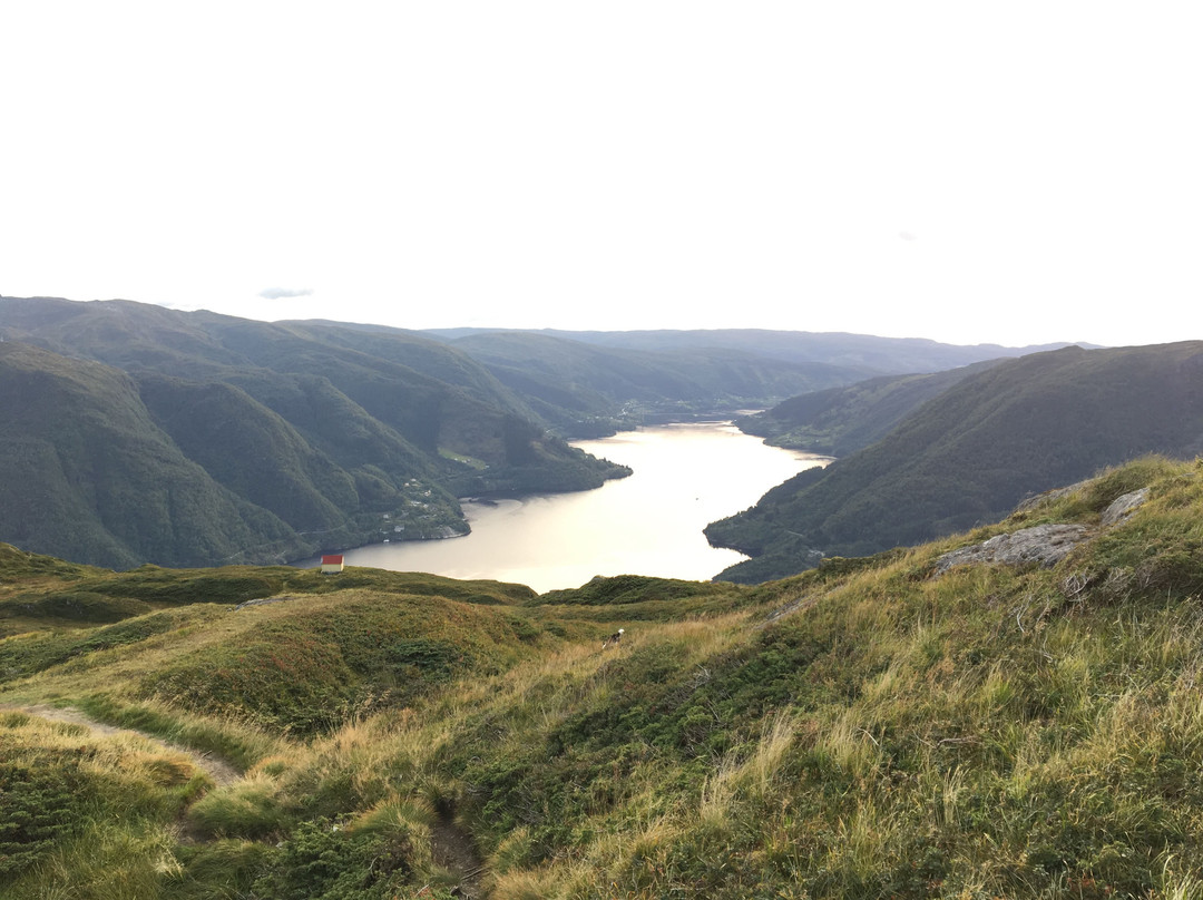 Hiking Bergen景点图片