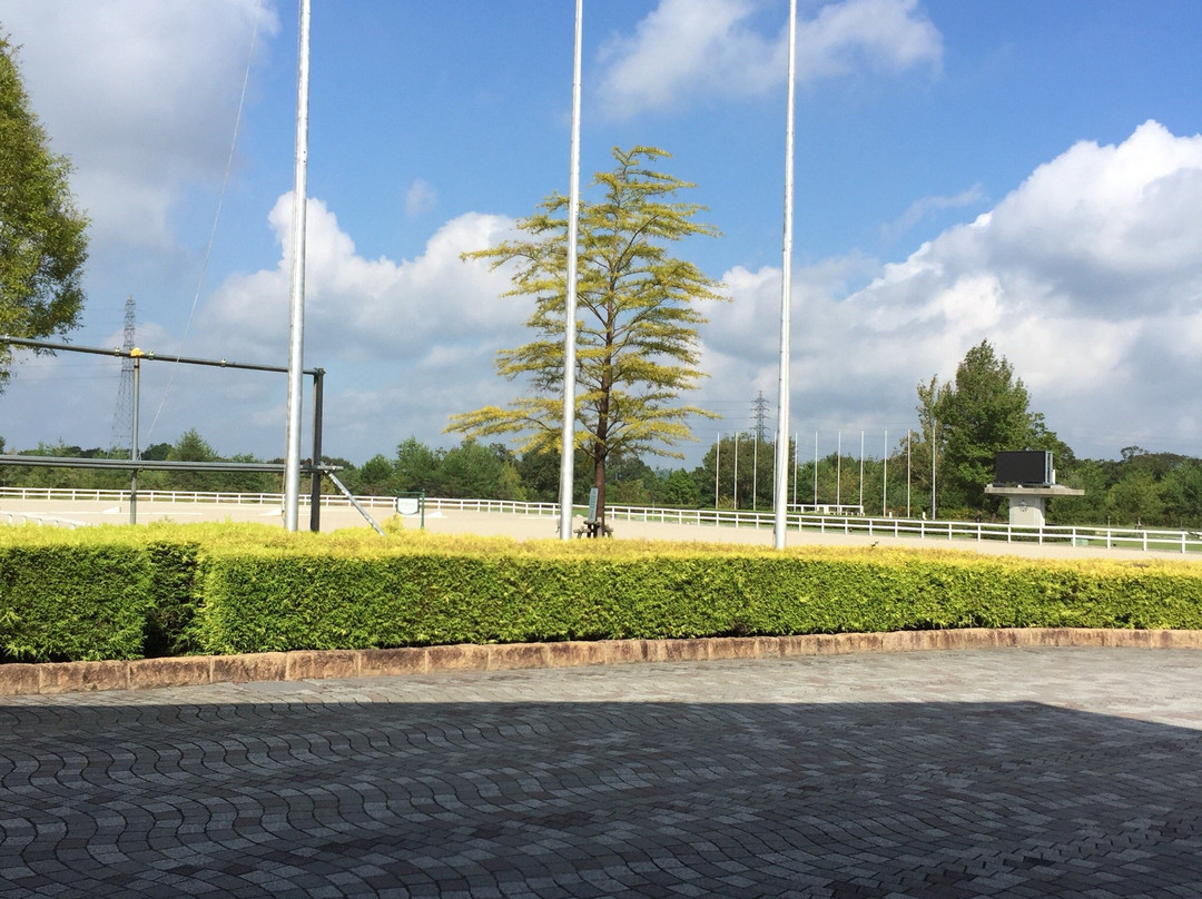 Miki Horseland Park-三木市必去景点