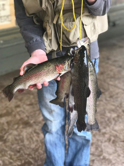 Green Cove Angler Store & Lodge主图