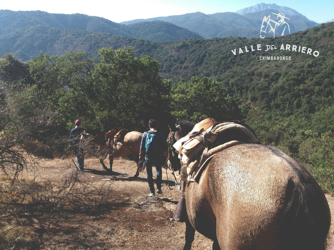 San Fernando旅游景点-Valle del Arriero