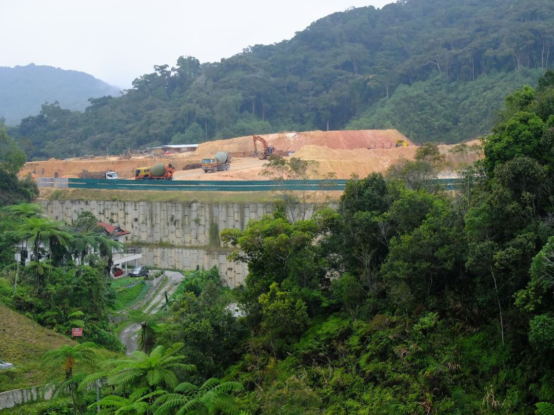 Avillion Cameron Highlands主图