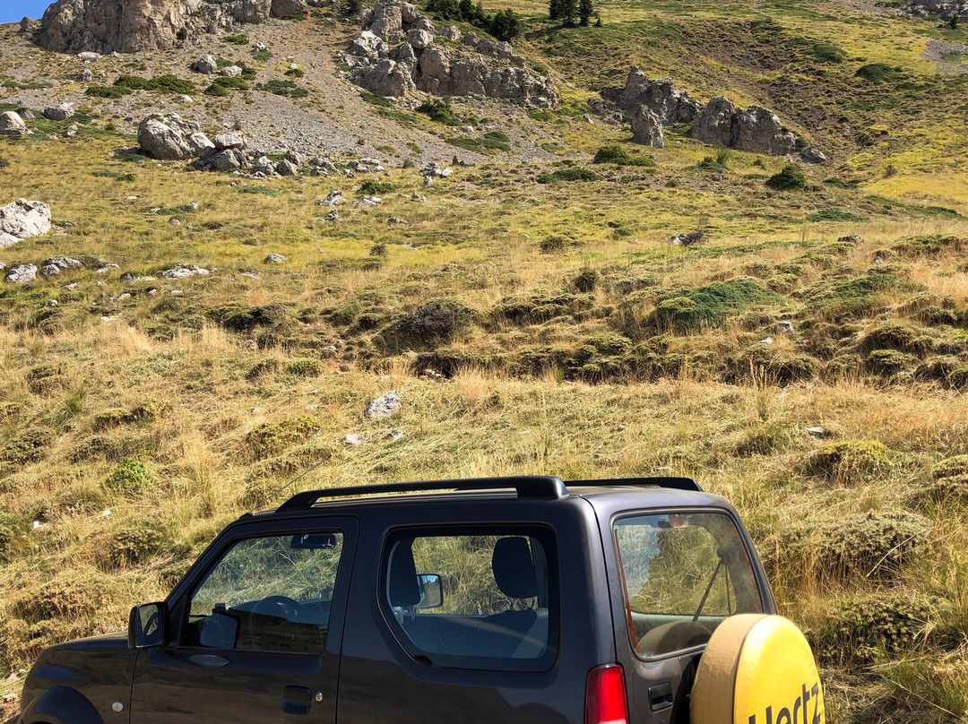 Ziakas Mansion主图