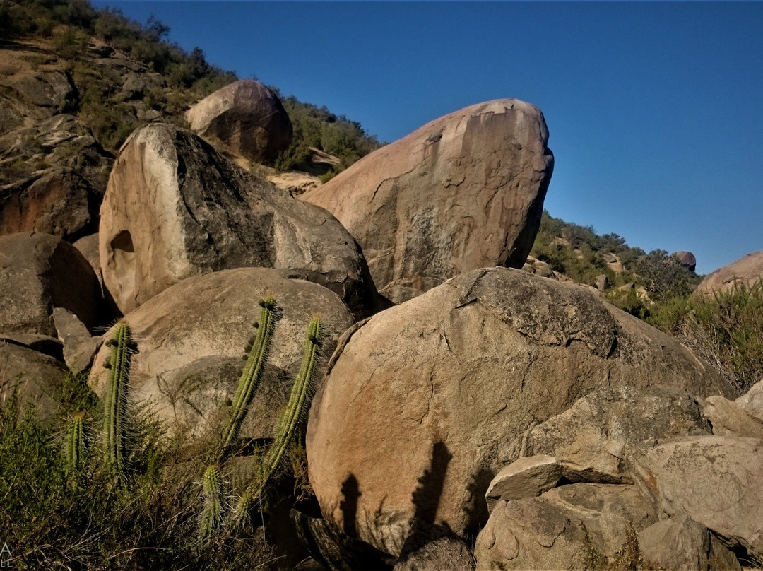 La Serena Turismo Chile-拉塞雷纳必去景点