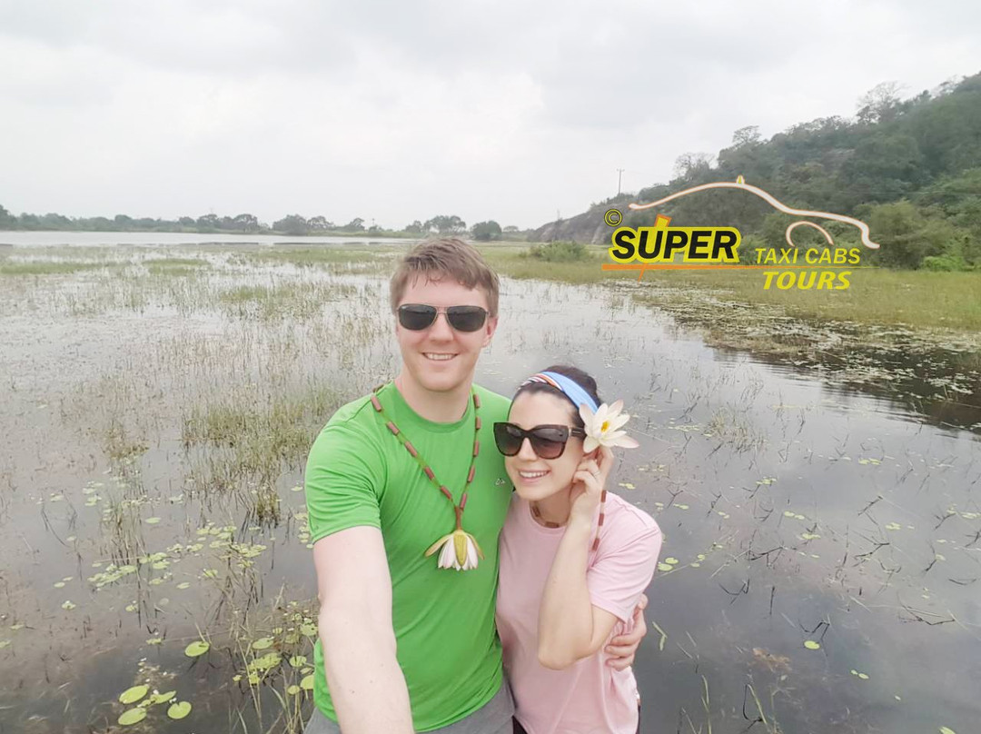 Super Taxi Cabs景点图片