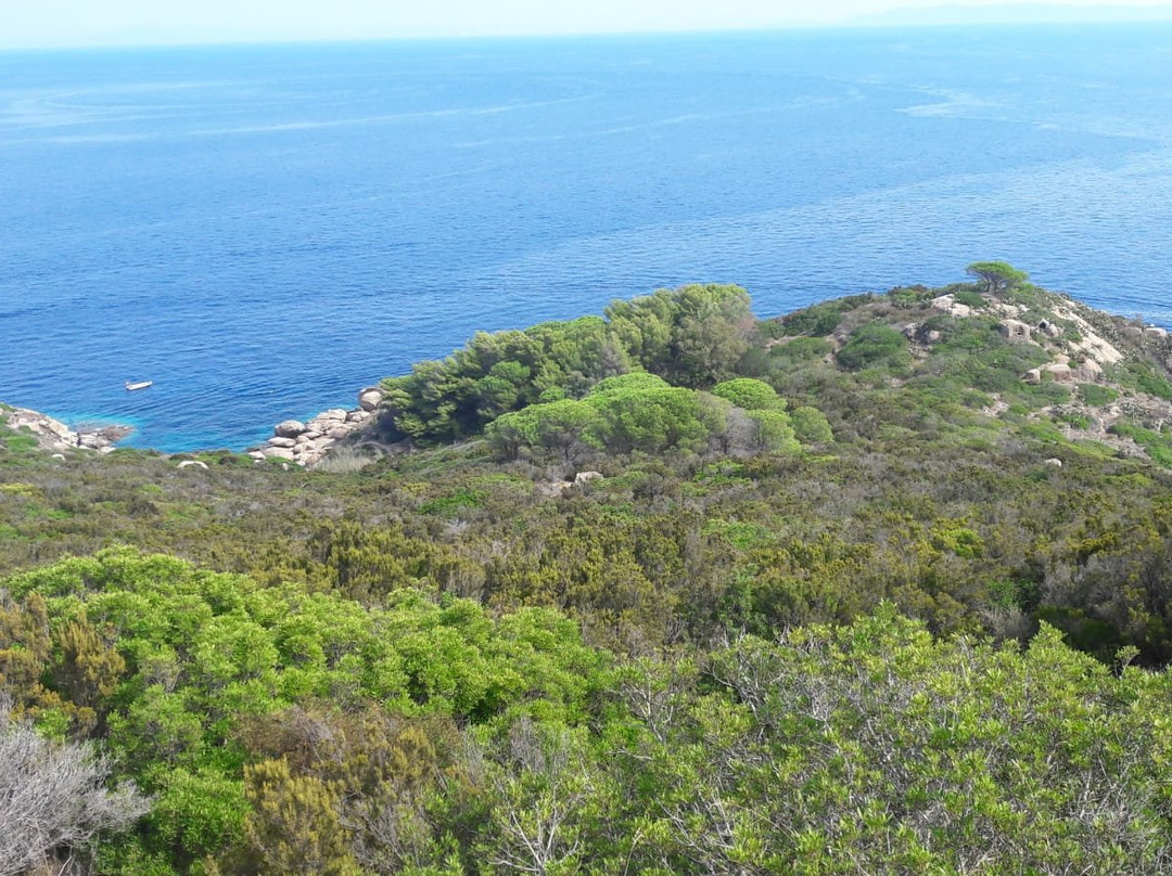 Punta del Fenaio-Isola del Giglio必去景点