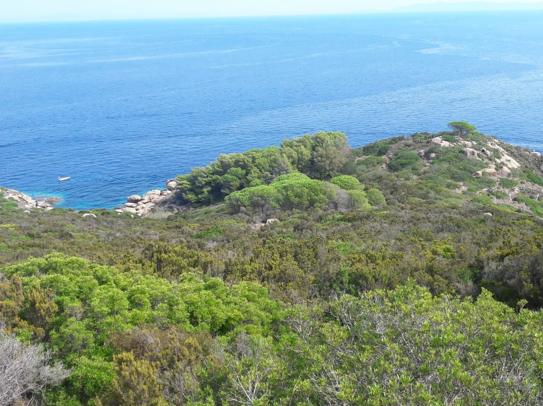 Punta del Fenaio景点图片