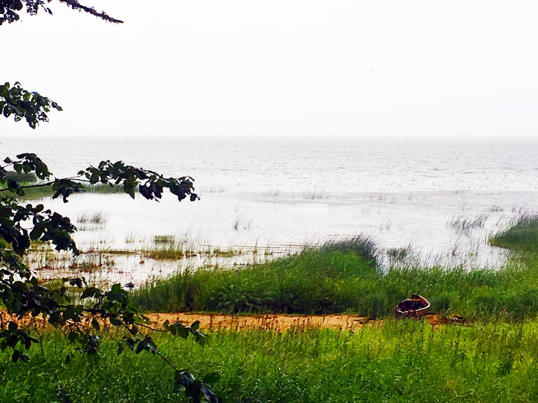 Burtnieki旅游景点-Lake Burtnieks