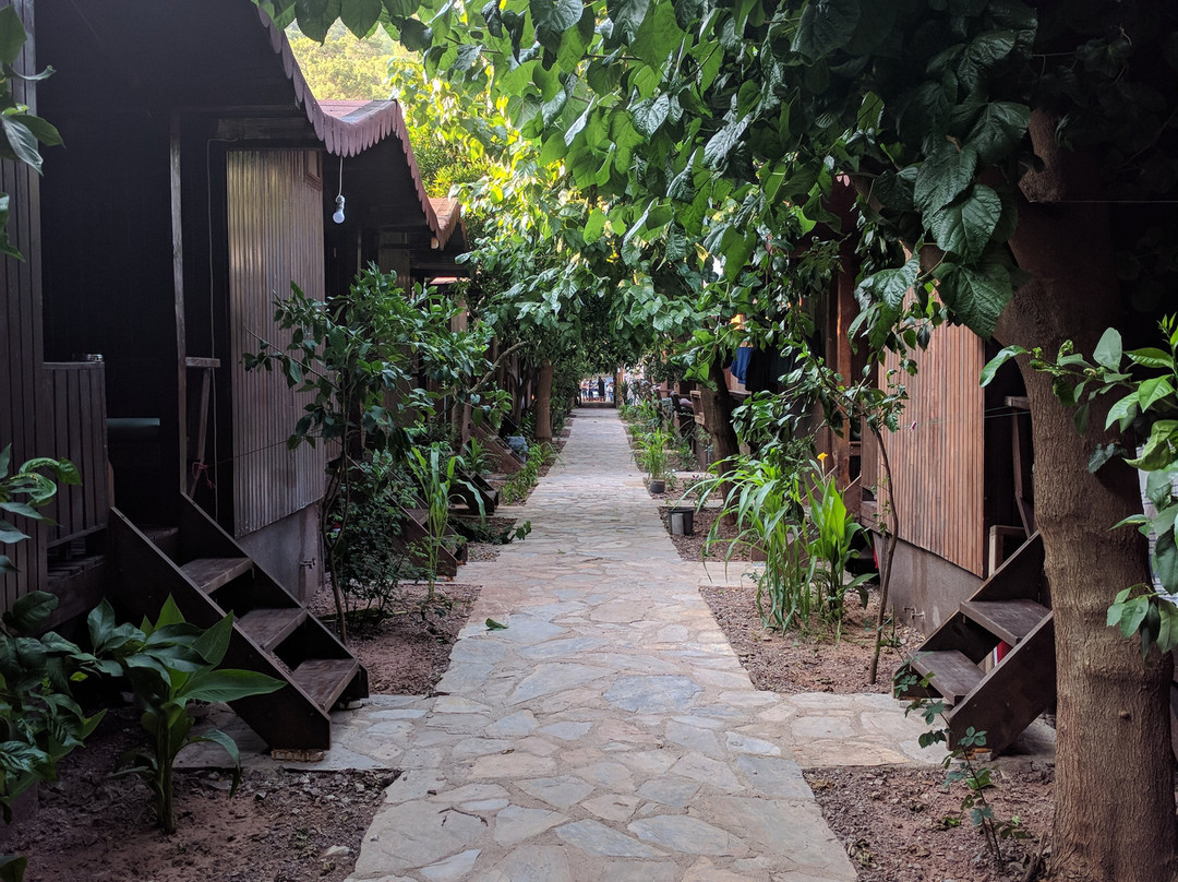 Base Bungalows主图