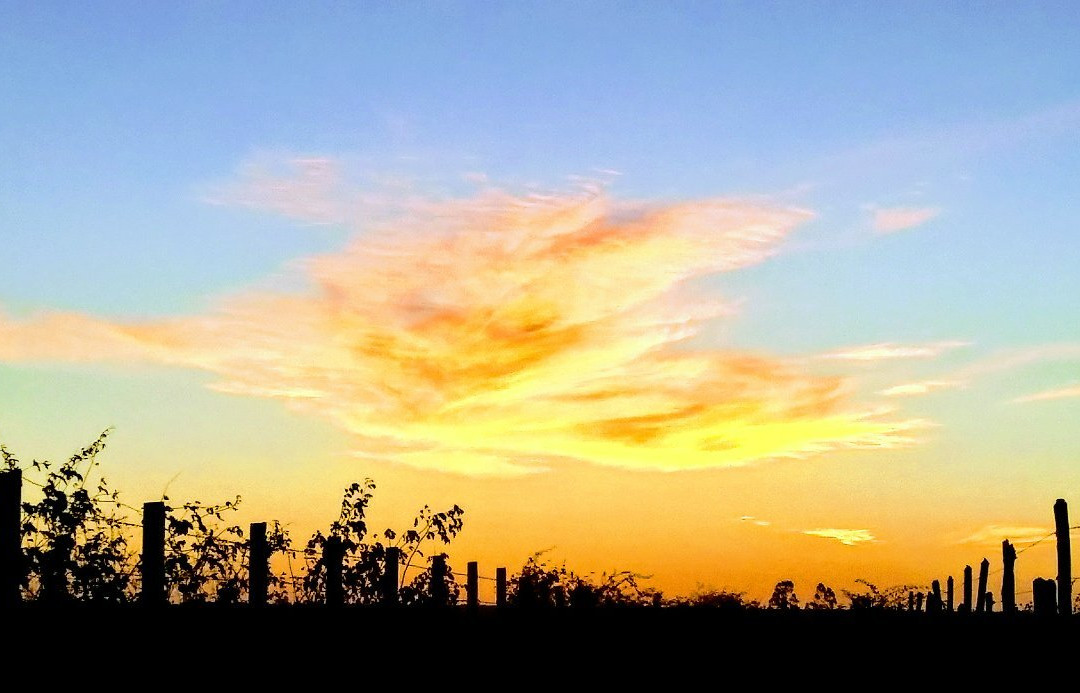 Sitio Torrinha-Araripina必去景点