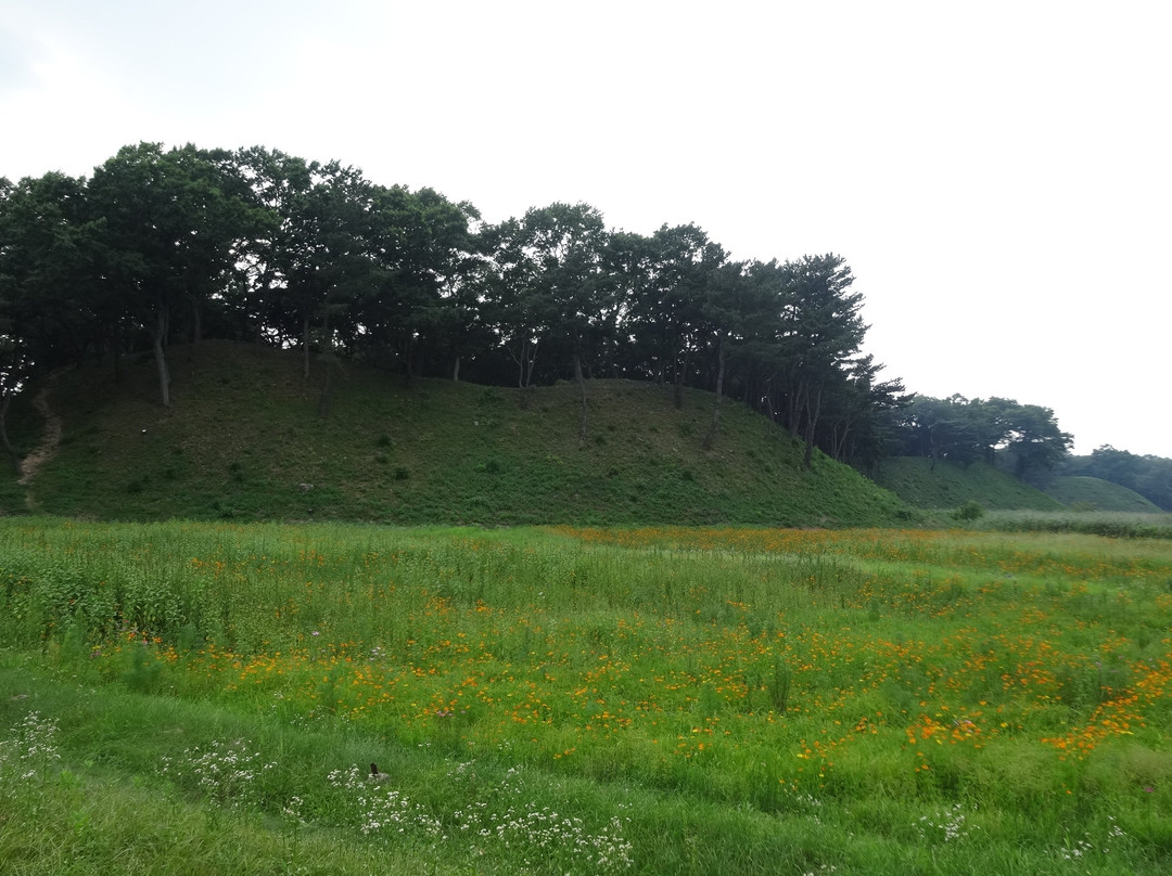 Banwolseong Fortress-庆州市必去景点