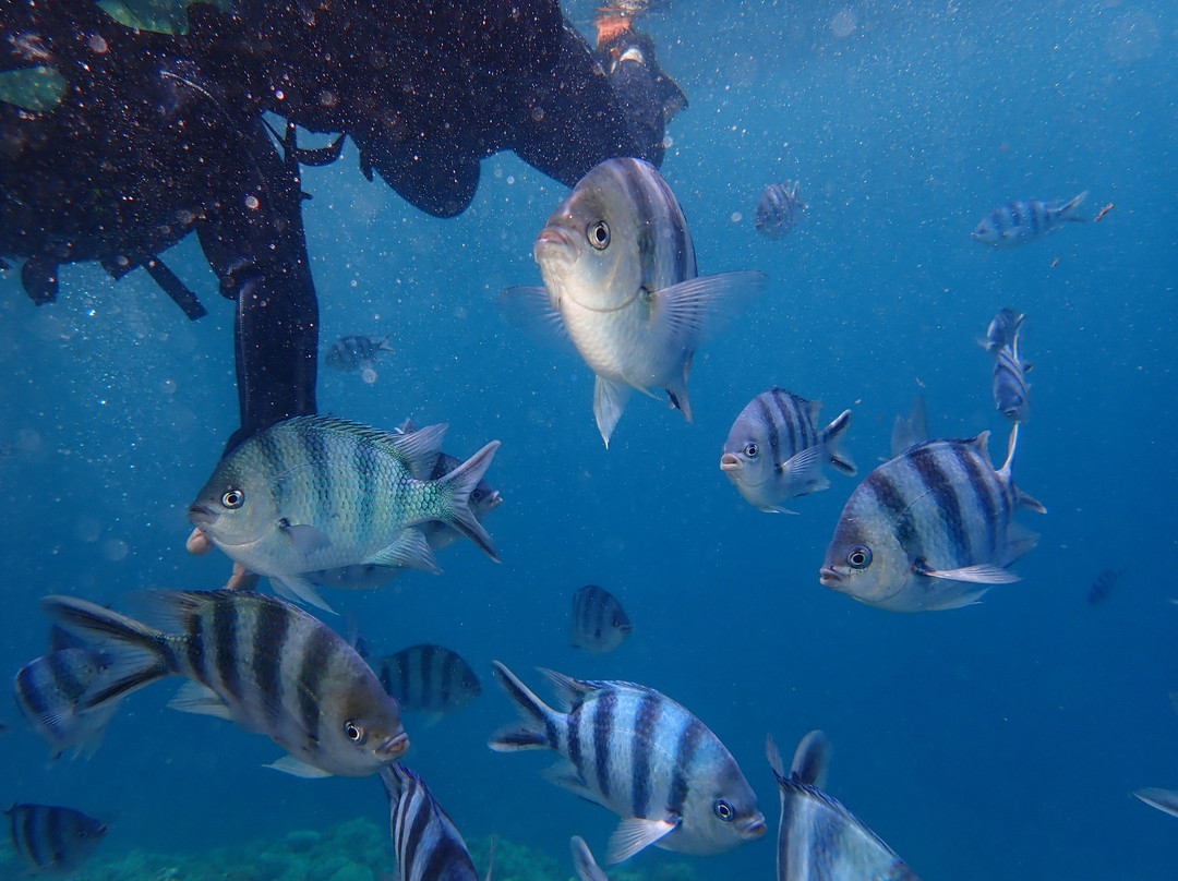 Best Dive Okinawa-恩纳村必去景点