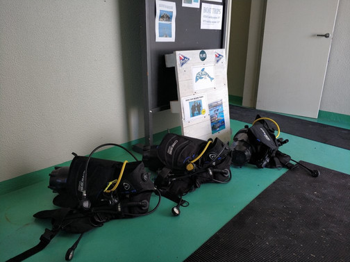 Sealife Scuba Diving-沙尔必去景点