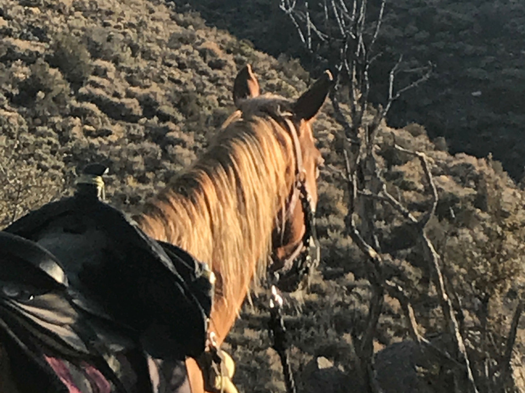 Baldwin Lake Stables-大熊湖必去景点