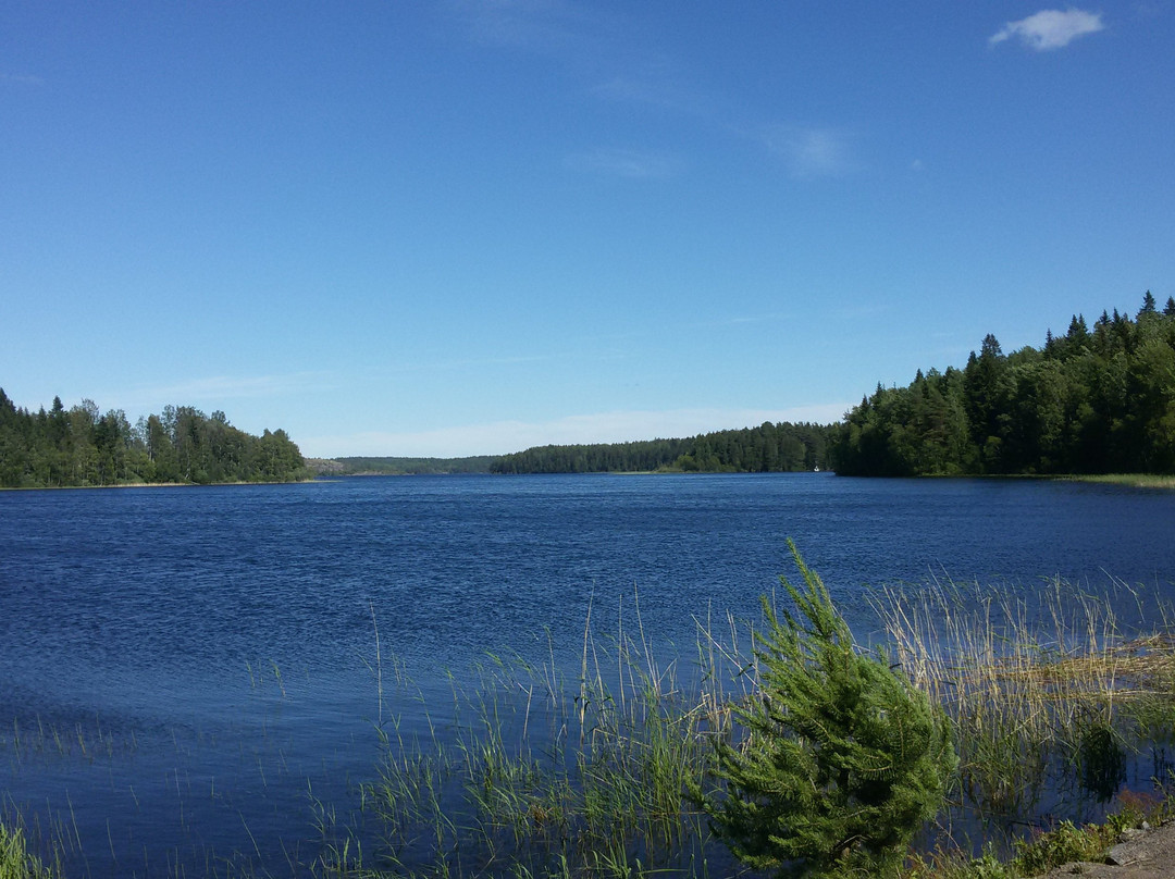 Koionsaari Island景点图片