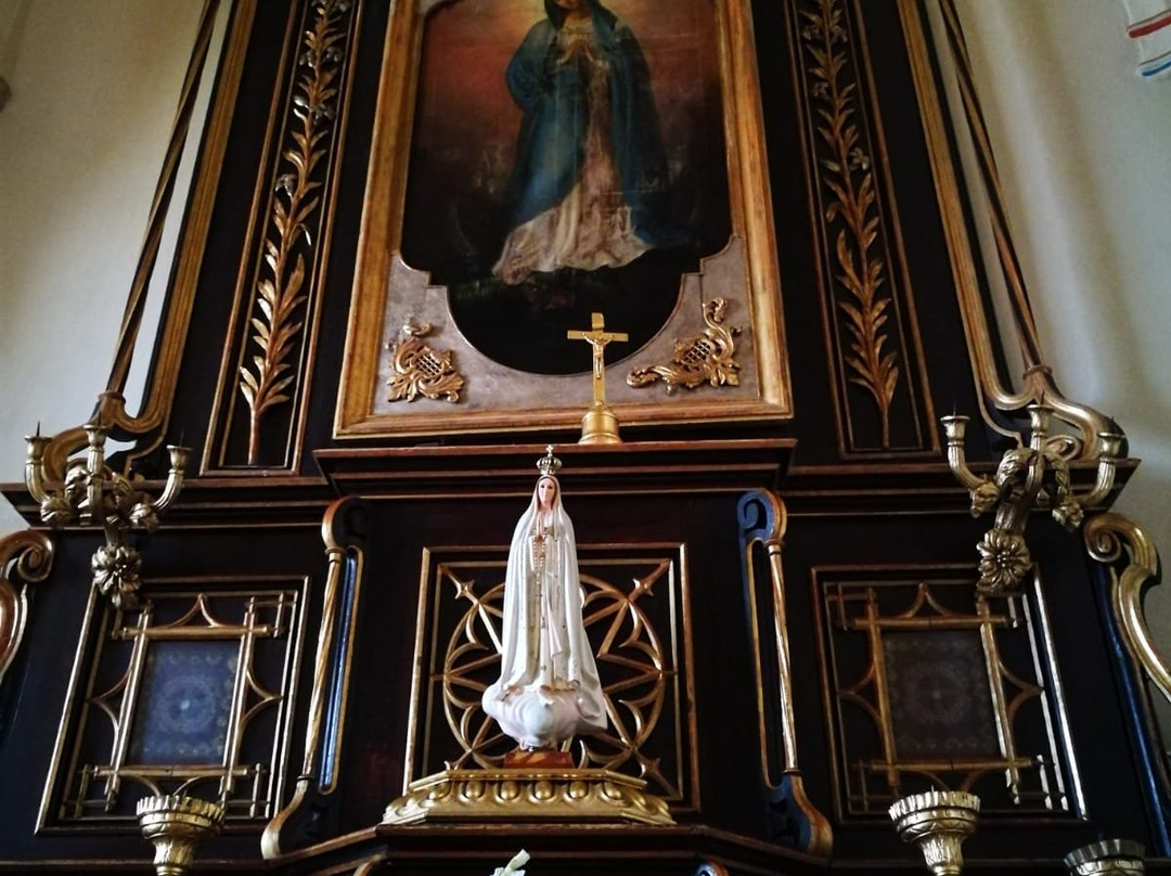St. John the Baptist Cathedral-Trnava必去景点