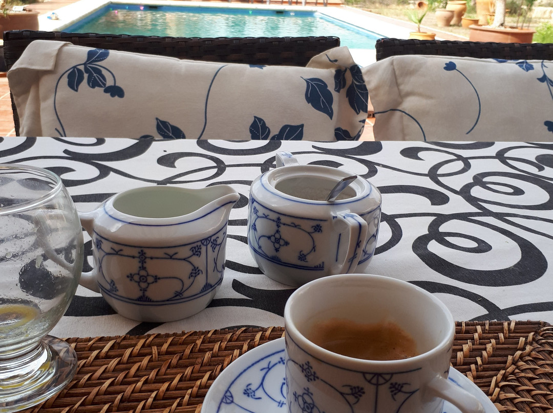 Mas del Conill主图