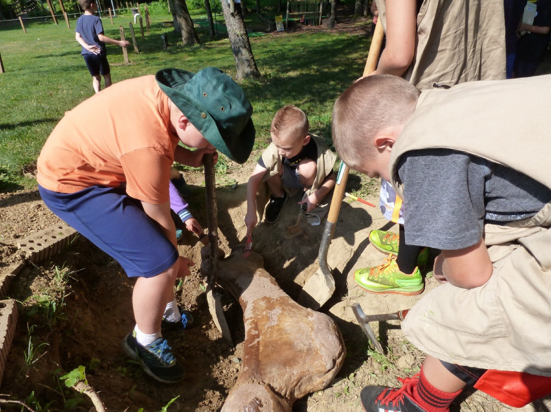 Akron Fossils & Science Center-Copley必去景点