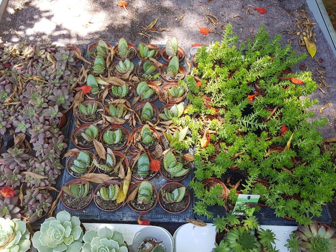 Farm to Table - Halbrecht Farm Food Garden-Kfar Vitkin必去景点