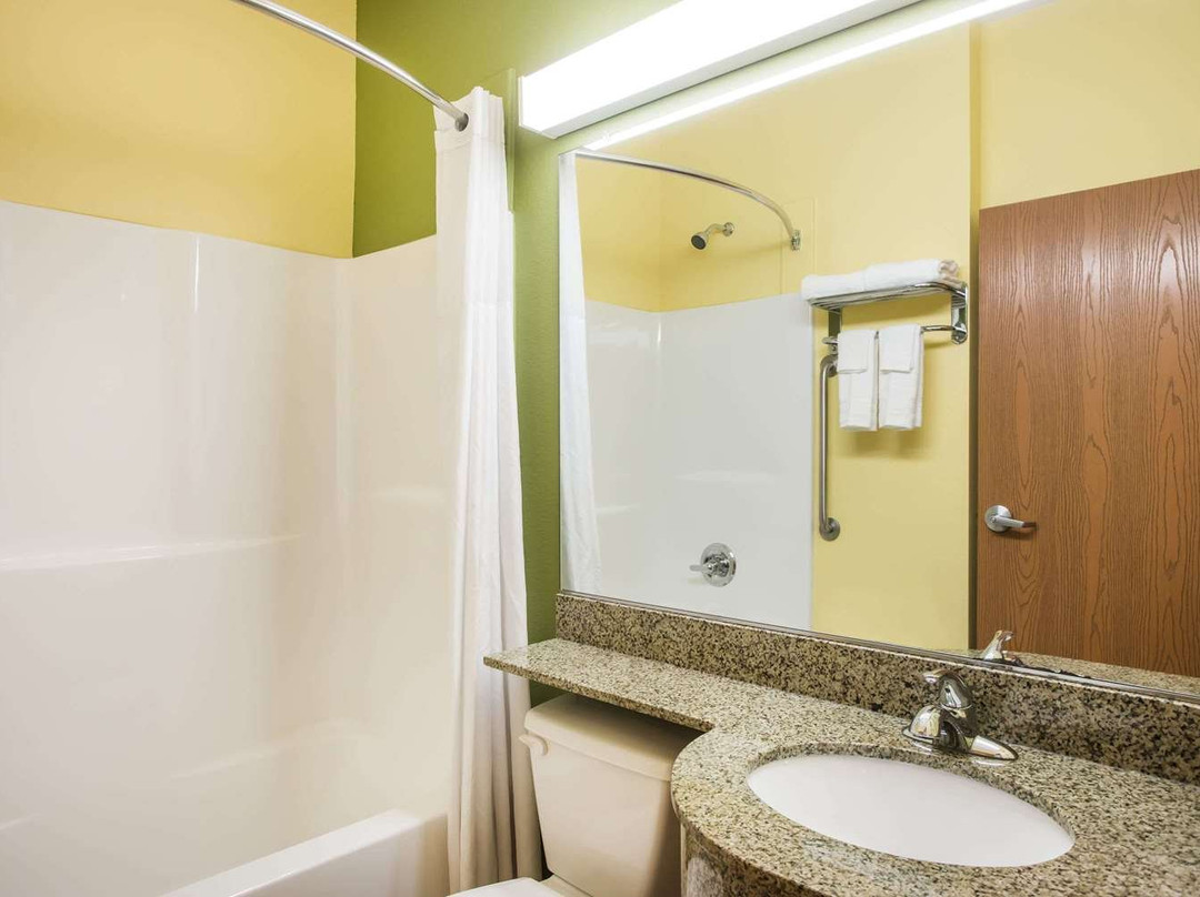 Microtel Inn & Suites by Wyndham Opelika主图