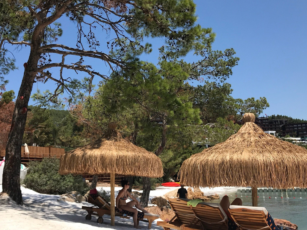 Lujo Hotel Bodrum主图