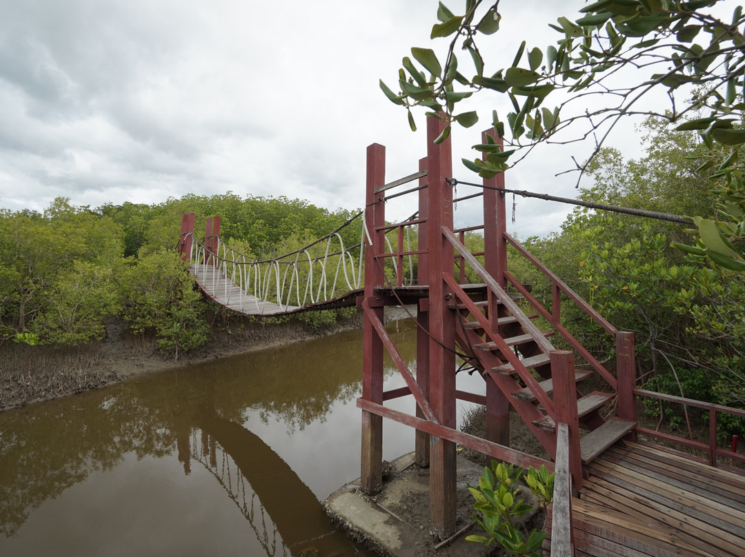 The Sirindhorn International Environmental Park景点图片