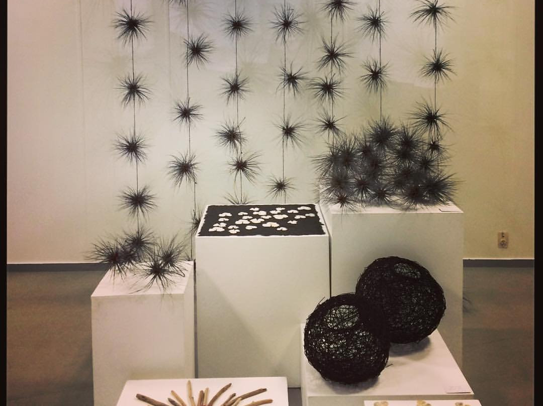 Kings Theatre Creative-Kawakawa必去景点