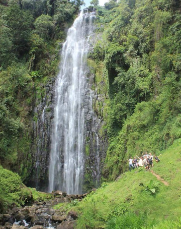 Tarry Adventures and Safaris