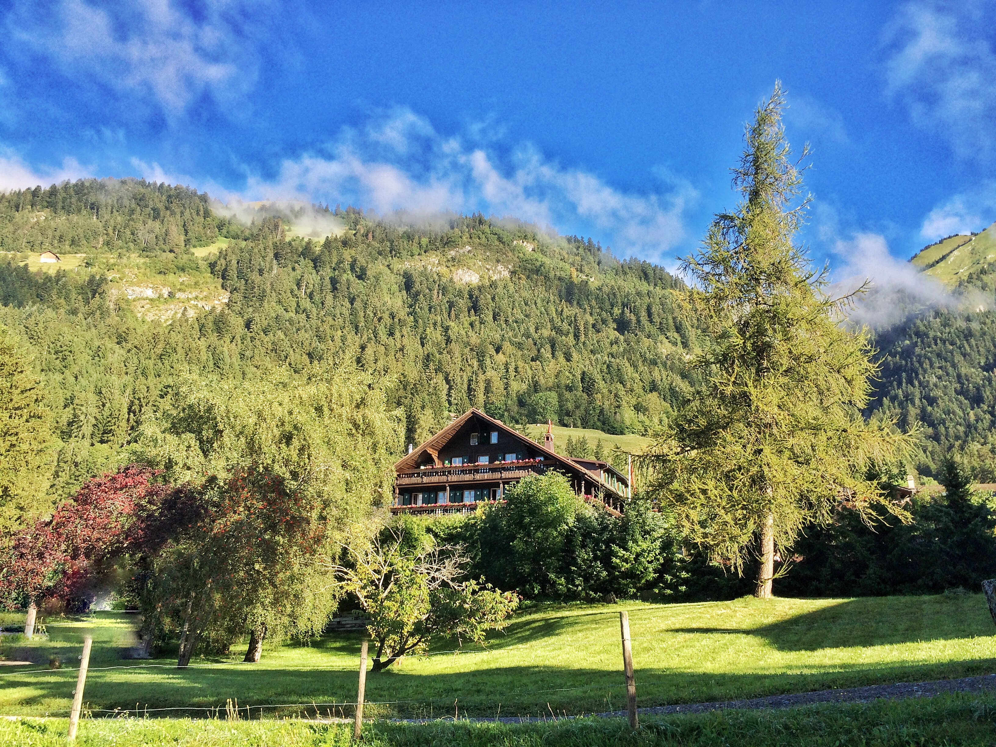 Le Vieux Chalet-官方