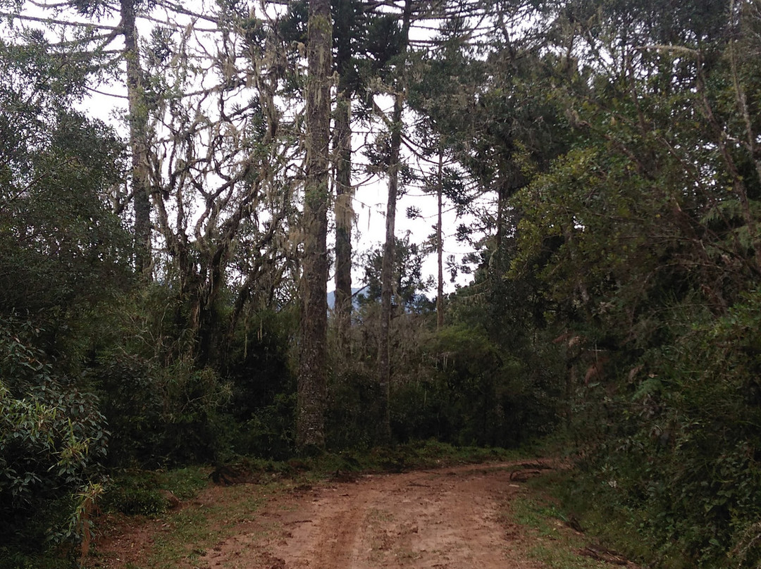 Trilha das Sete Quedas-Brusque必去景点