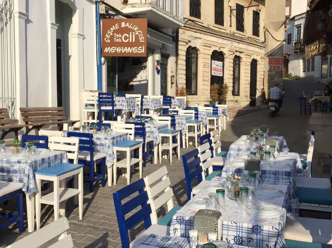 Cesme Balikcisi Tektekcii Meyhanesi