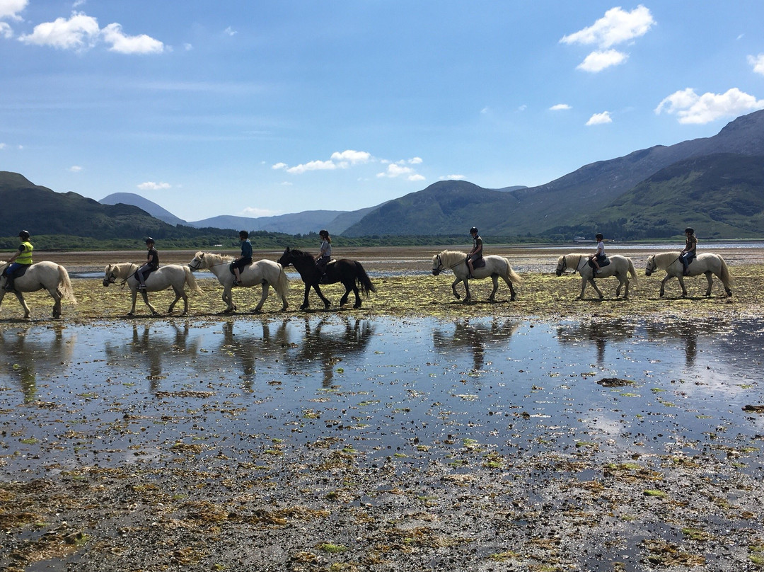 Mull Pony Trekking景点图片