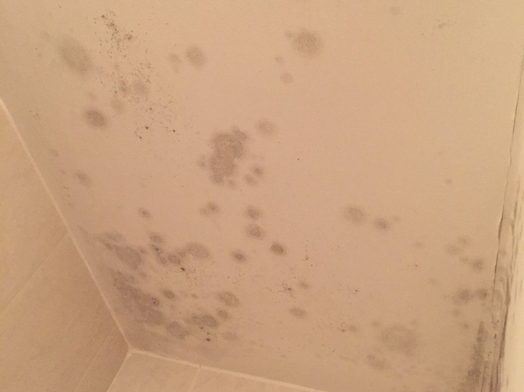 多宁顿庄园酒店主图