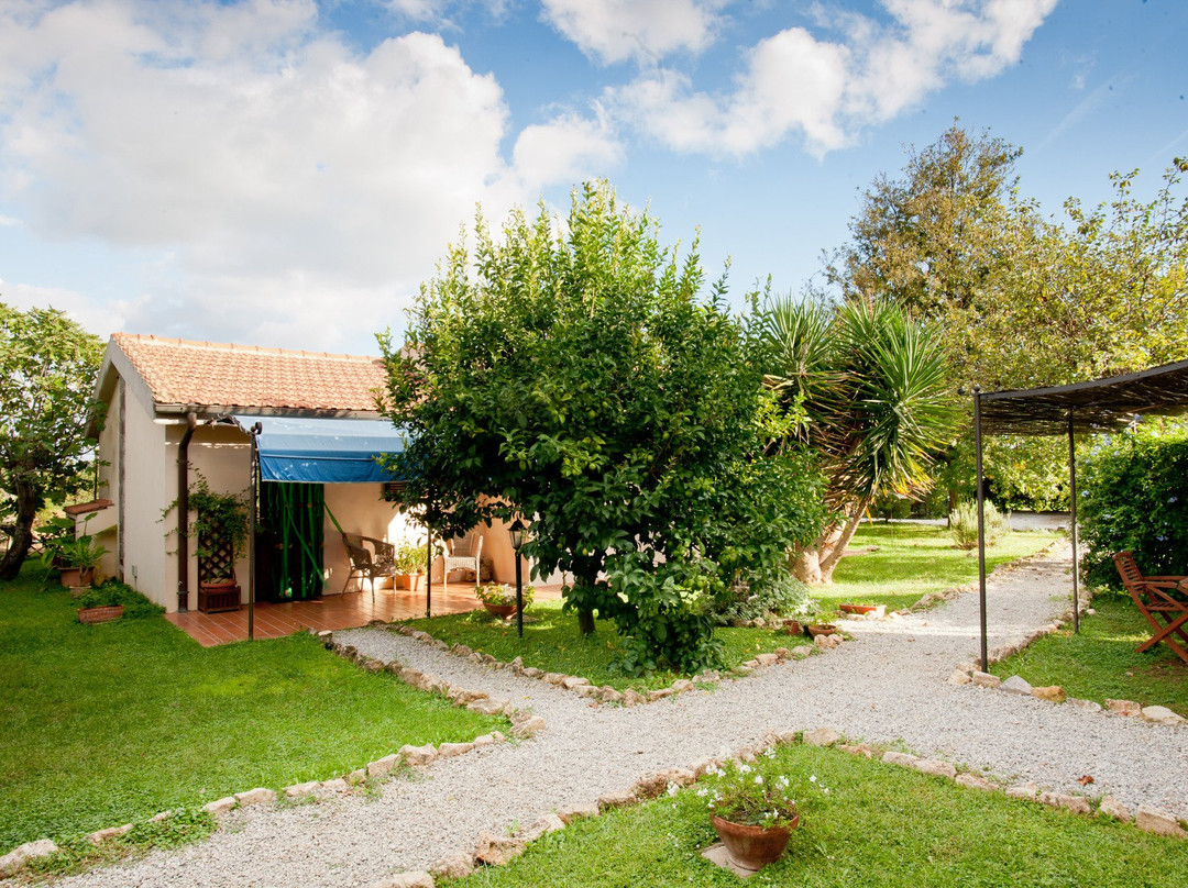 Pescia Fiorentina酒店住宿-Agriturismo Sicomoro