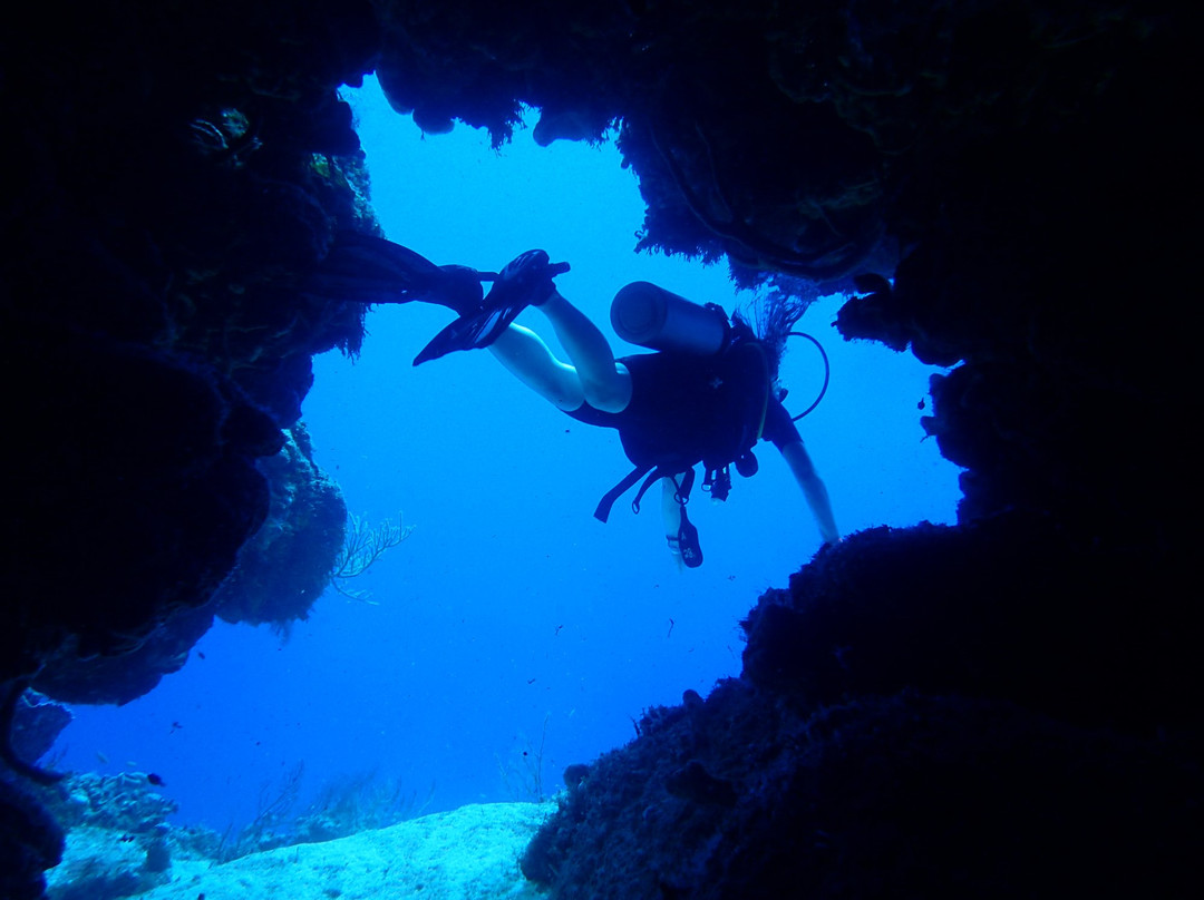 Pro Dive Mexico-坎昆必去景点