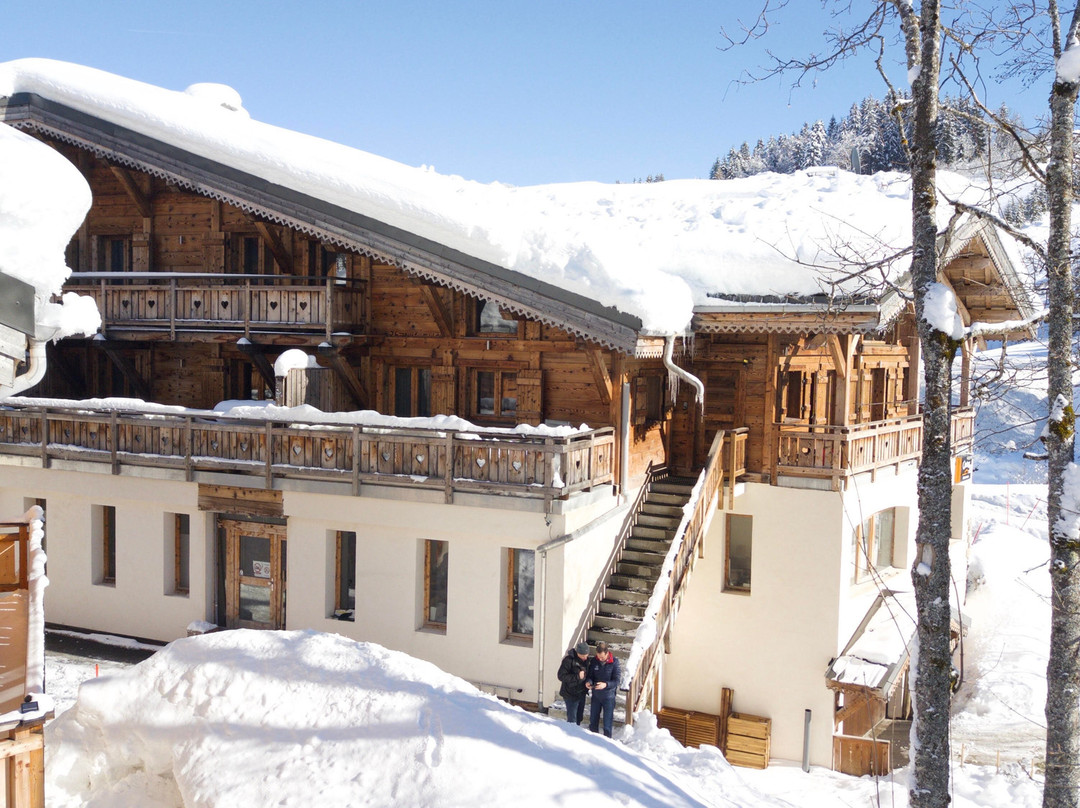 Les Suites de l'Alpe
