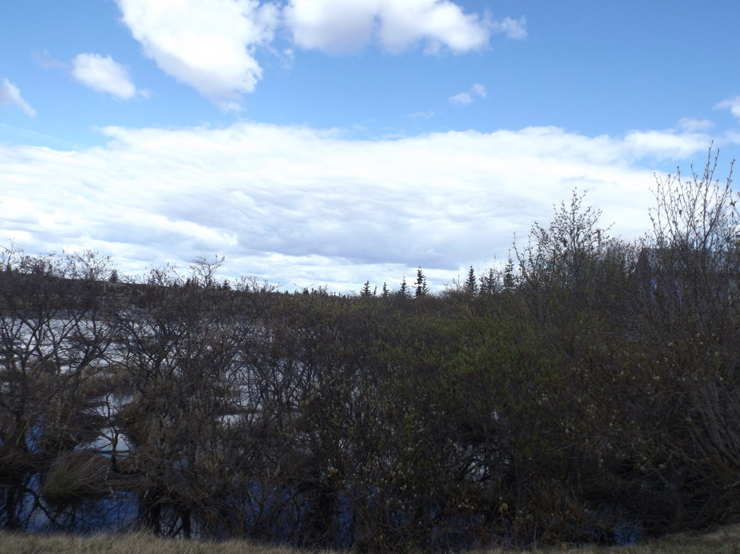 Kuskokwim Backwater Approach - Day Adventures景点图片