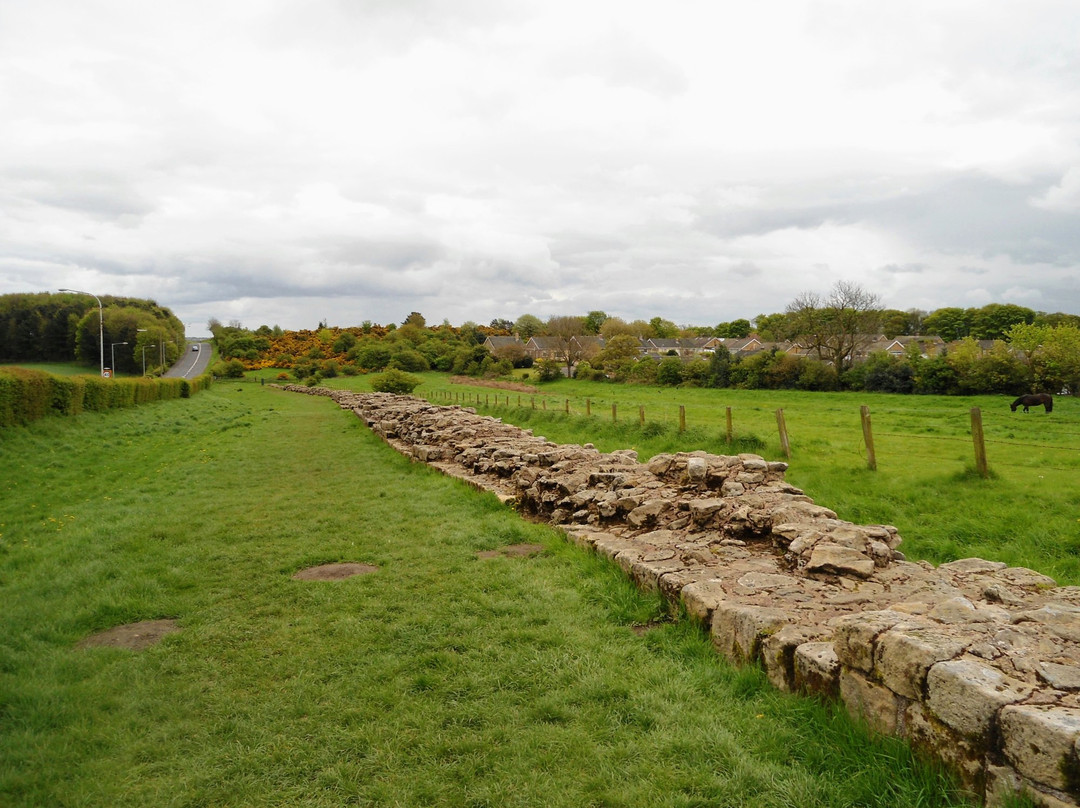 Hadrian's Wall景点图片