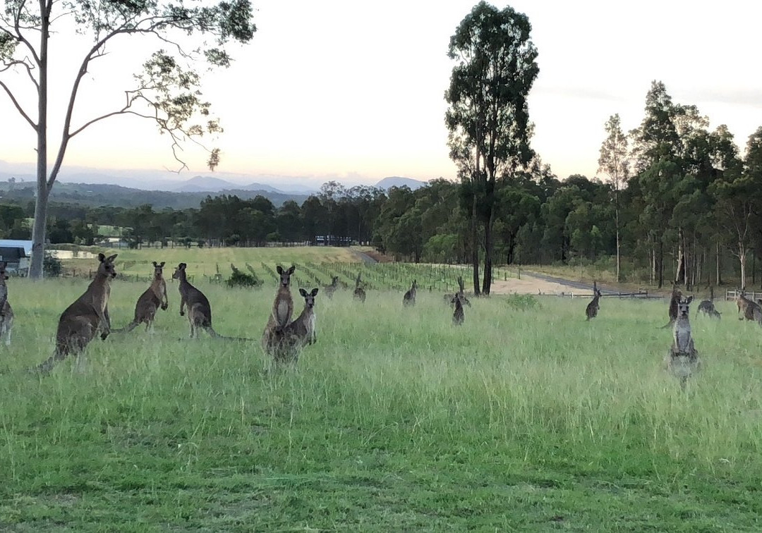 普罗旺斯别墅酒店主图