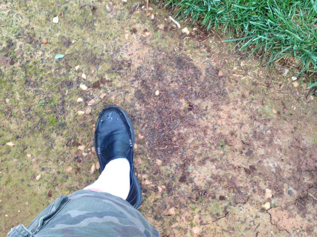 Willow Creek - China Flat Museum-Willow Creek必去景点