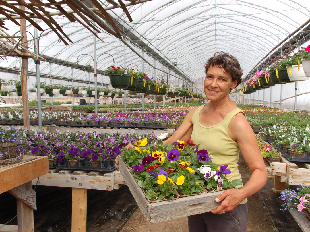 Hudak Farm-Swanton必去景点