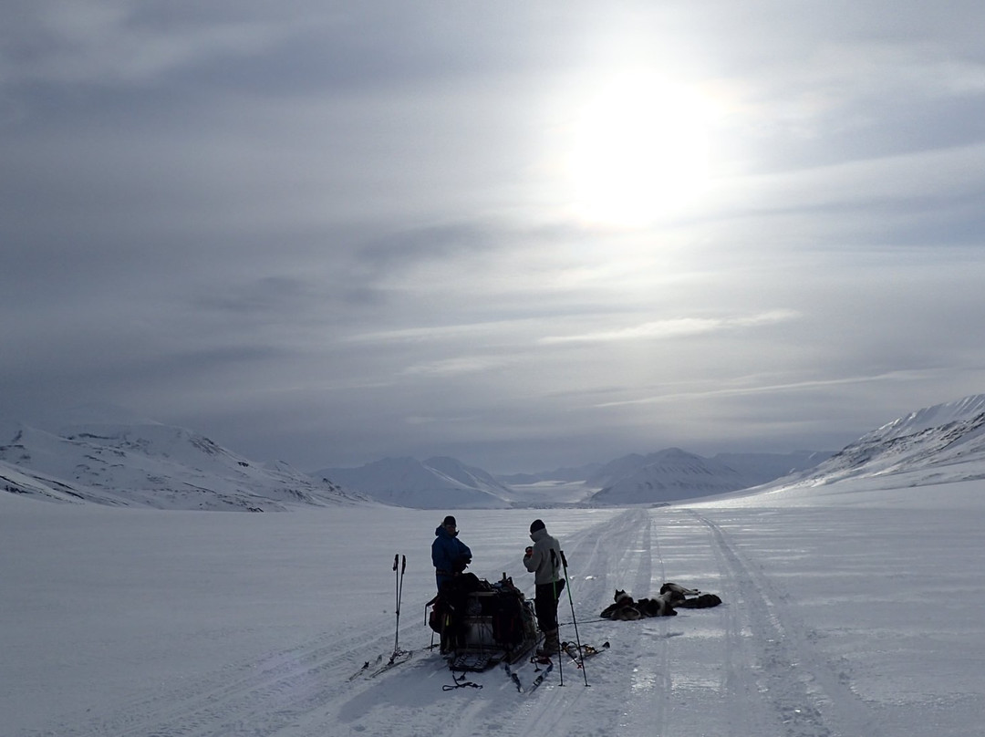 Polardogs Svalbard-朗伊尔城必去景点