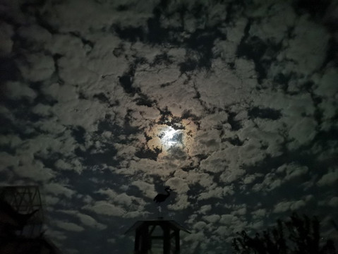 丽江火烈鸟主题客栈（白沙古镇店）主图