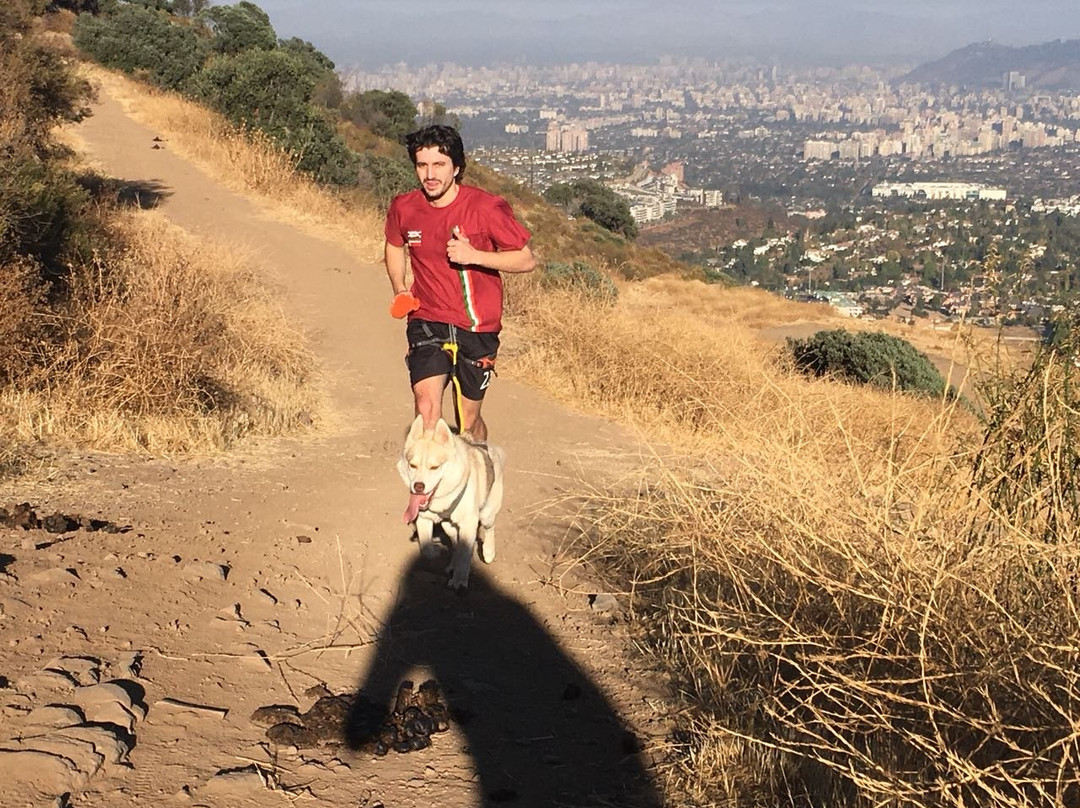 Husky Point-Curacautin必去景点