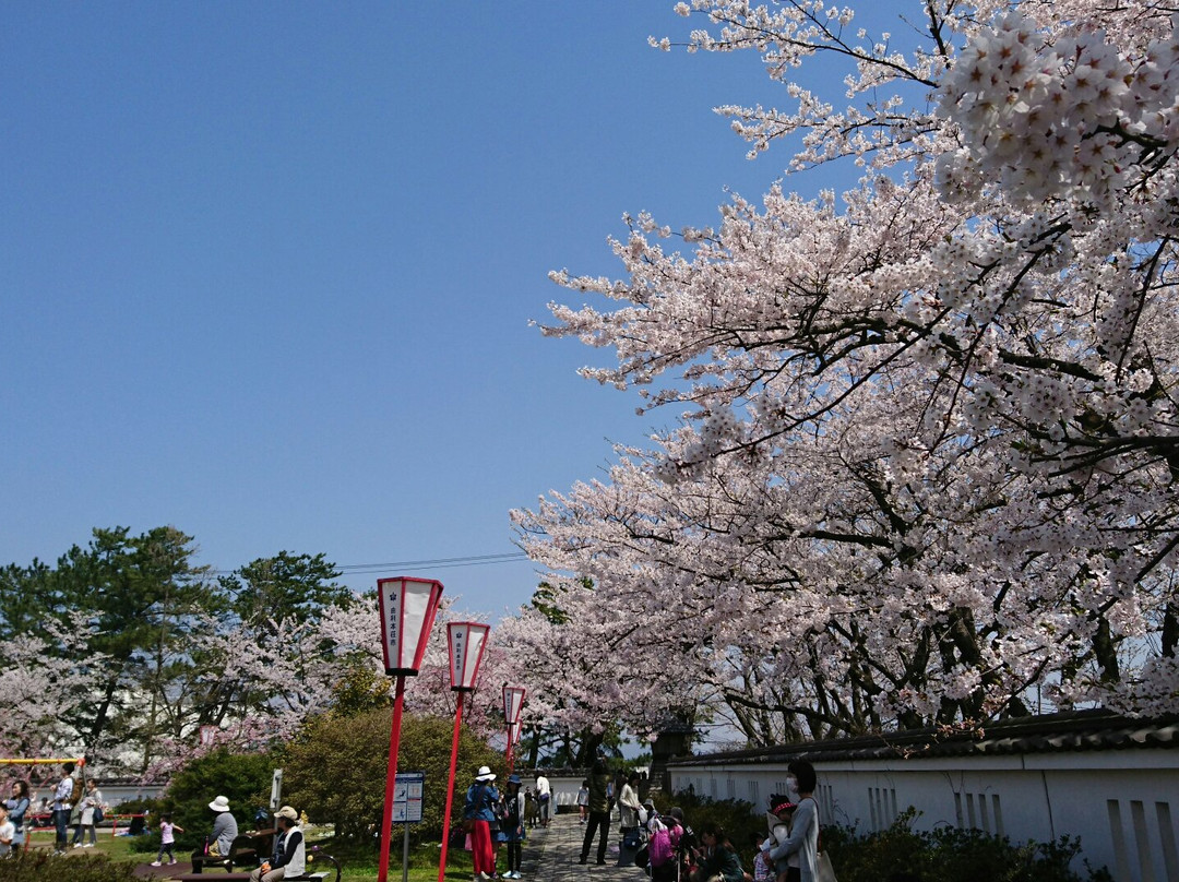 Honjo Park-由利本庄市必去景点