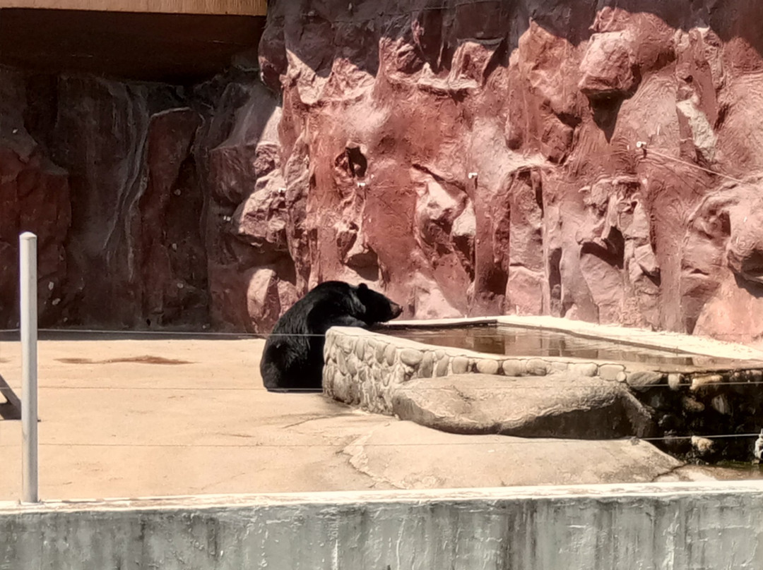 Gwangju Family Land-光州必去景点