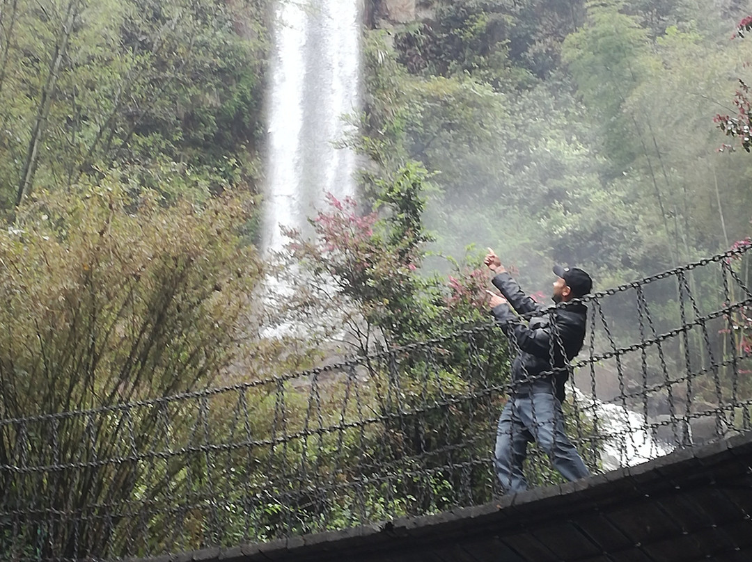 茶杯泉-张家界市必去景点