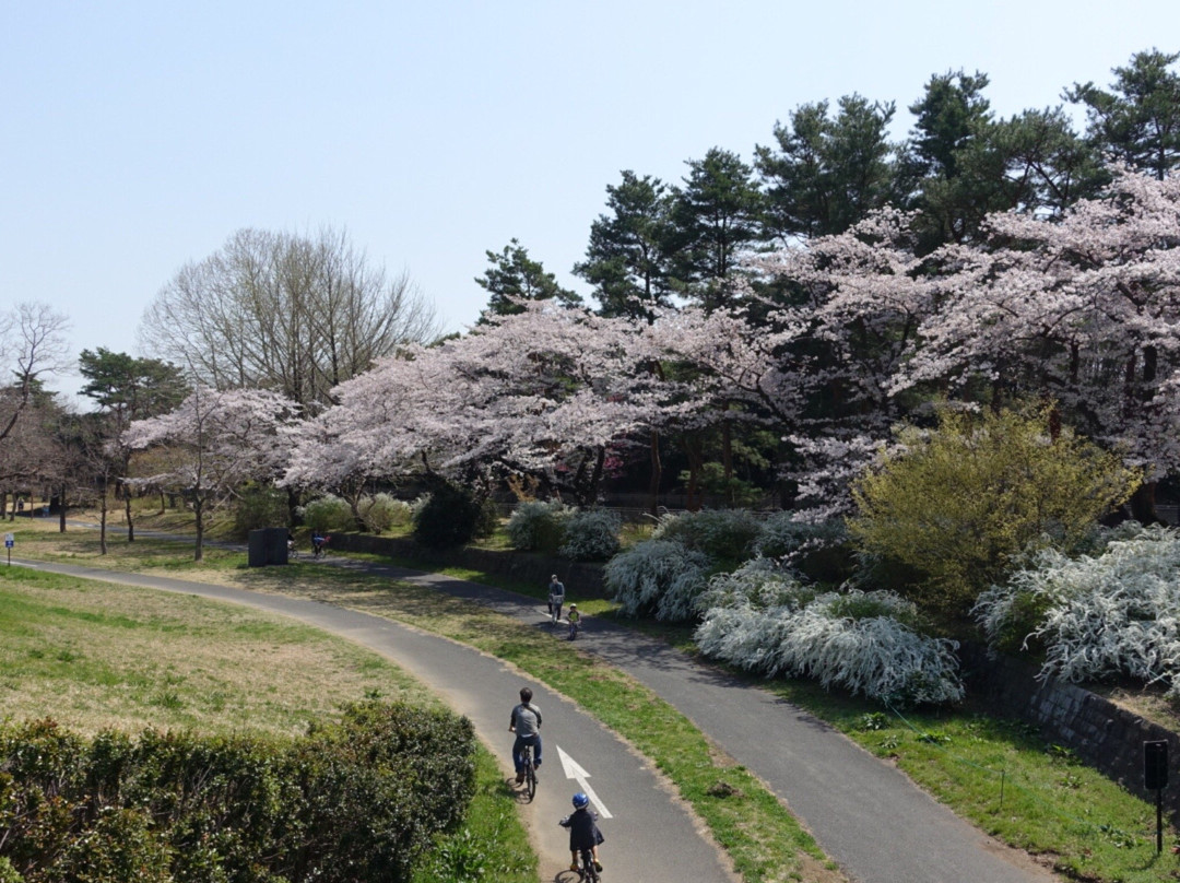 Showa Park-昭岛市必去景点