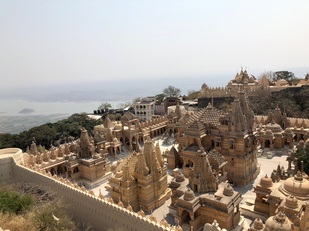 Shatrunjaya hill temple景点图片
