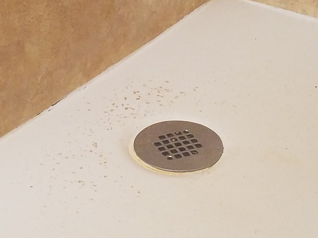 西雅图大学旅居酒店主图