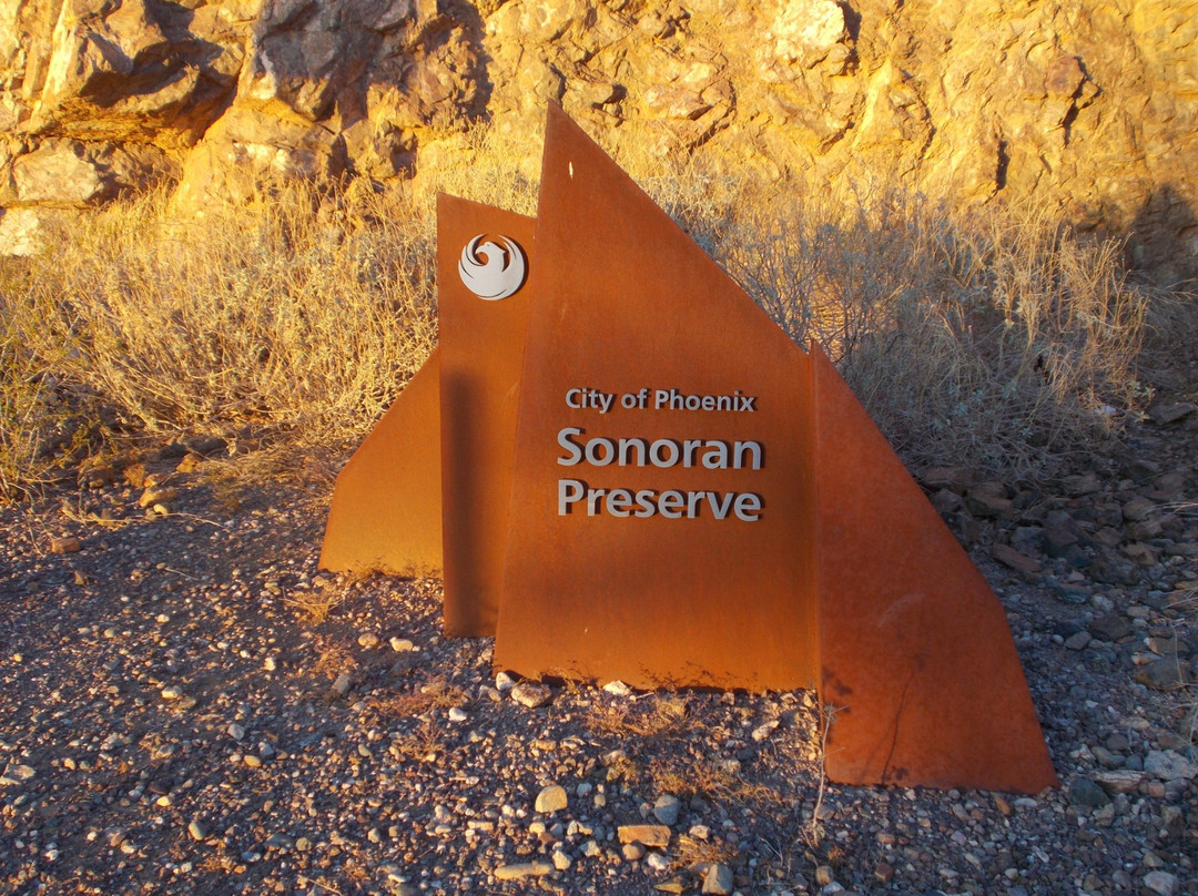 Phoenix Sonoran Desert Preserve景点图片